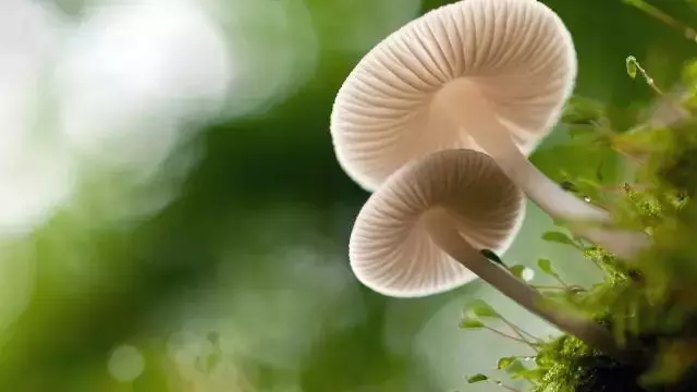 人生就是一場路過:生命的盡頭,你還是一無所有!|活好當下