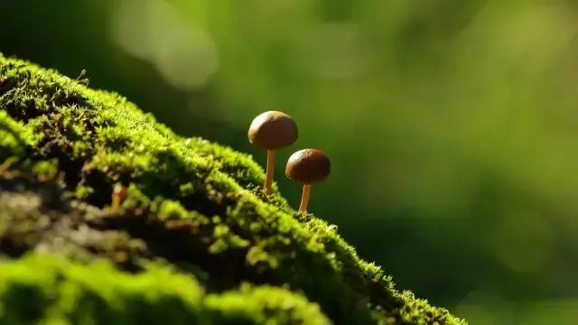 人生就是一場路過:生命的盡頭,你還是一無所有!|活好當下