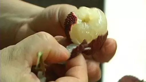 玉荷包結果率1成5 價格恐漲2倍