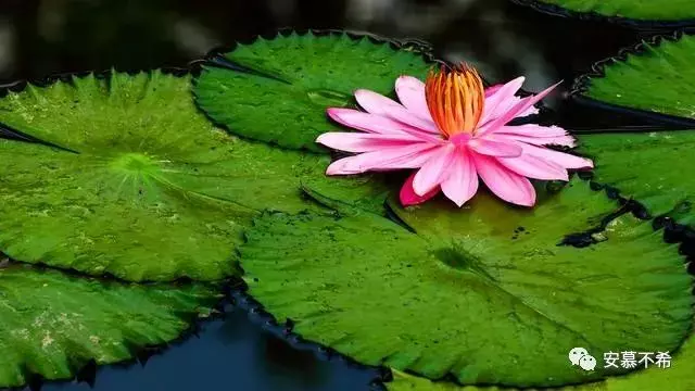 佛說:人啊,爭來爭去,爭個什麼?