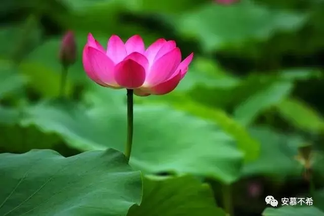 佛說:人啊,爭來爭去,爭個什麼?