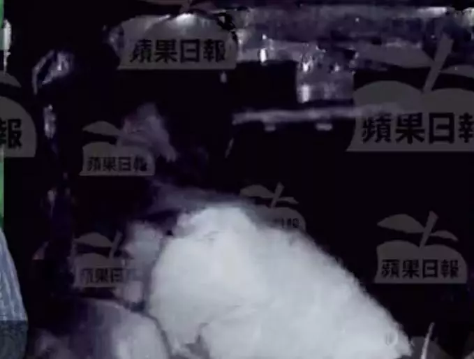【內有影片】許志安背叛鄭秀文偷吃黃心穎, 在車上猖狂胸壓狂kiss 16分鐘!!網友: 太誇張~~