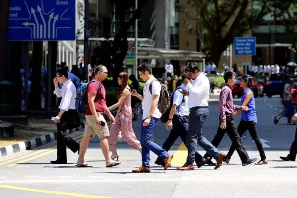 新加坡「低頭殭屍」闖虎口 20%行人過馬路看手機