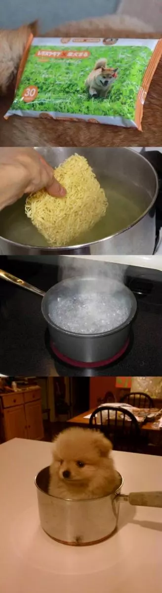 23張會讓你心情好轉的「超爆笑生活照」 爆猛100%準確的「牙膏驗孕法」!
