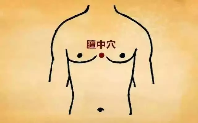 膻中穴——心包經的募穴(上)