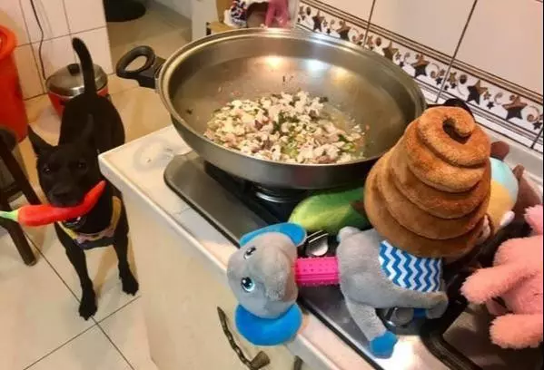 主人忘記喂狗晚飯,狗狗叼超大雞腿玩偶:「主人我要換吃的!」