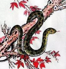 上輩子是仇人,這輩子是夫妻的生肖神准