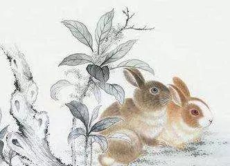 上輩子是仇人,這輩子是夫妻的生肖神准