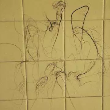 18張沒有姊妹的人絕對看不懂的「姊妹超欠揍照片」~~~