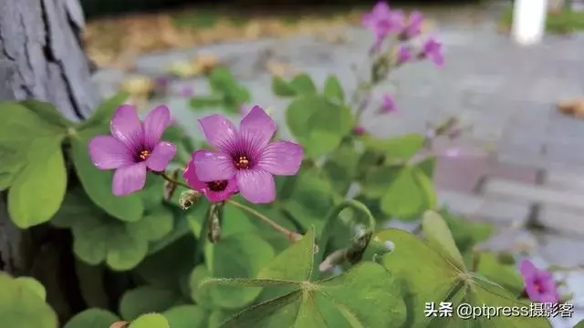 旅行路上拍照常見的5個誤區,你中了第幾個?
