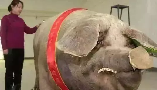 太奇特了!這些神奇的「動物之最」,人生第一次見到!