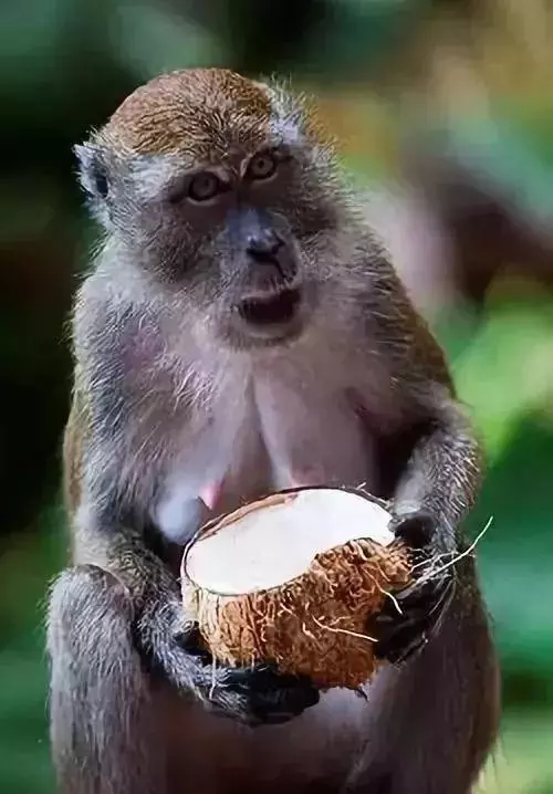 太奇特了!這些神奇的「動物之最」,人生第一次見到!