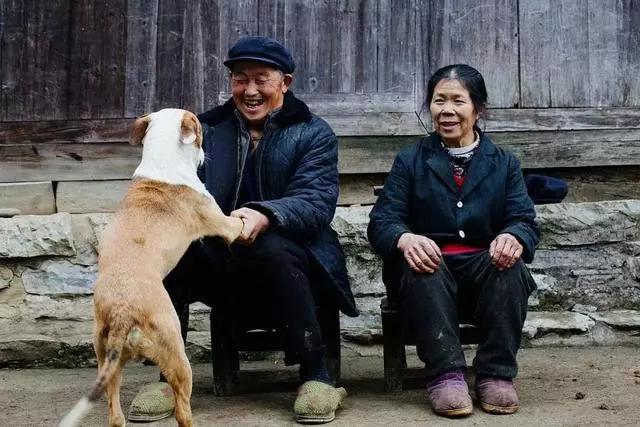 狗狗出門易過度興奮,只需學會四點辦法,可合理調整愛犬興奮度