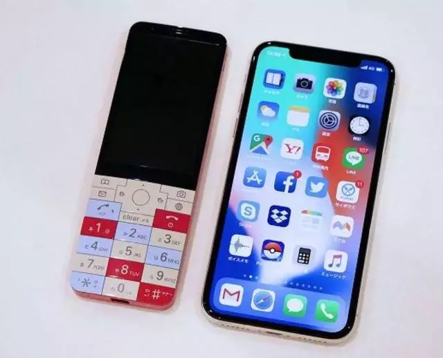 寵物攝影:如何用手機拍攝出可愛的萌寵照片?注意這五點基礎操作