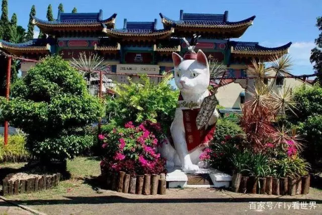 世界上唯一以貓命名的城市,當地還有貓博物館,愛貓深入骨髓