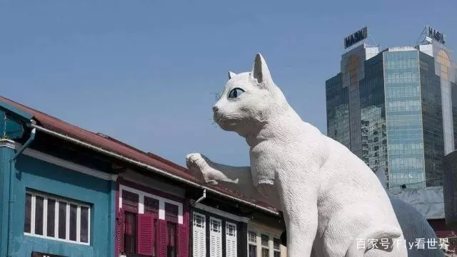 世界上唯一以貓命名的城市,當地還有貓博物館,愛貓深入骨髓