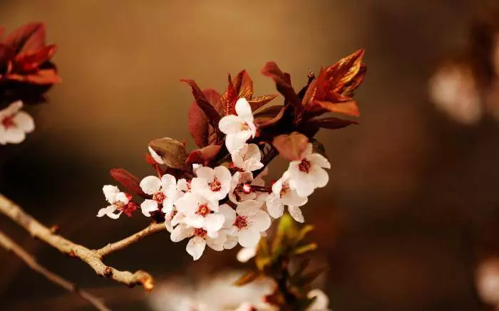 4月18、19號起好運到,來福來喜又來財,終成有錢人的6大生肖!