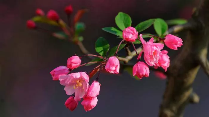 4月18、19號起好運到,來福來喜又來財,終成有錢人的6大生肖!