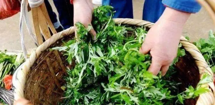 掀開床墊湧出上萬蟎蟲?教你一招,不用開水燙不用太陽曬,也能輕鬆去蟎蟲