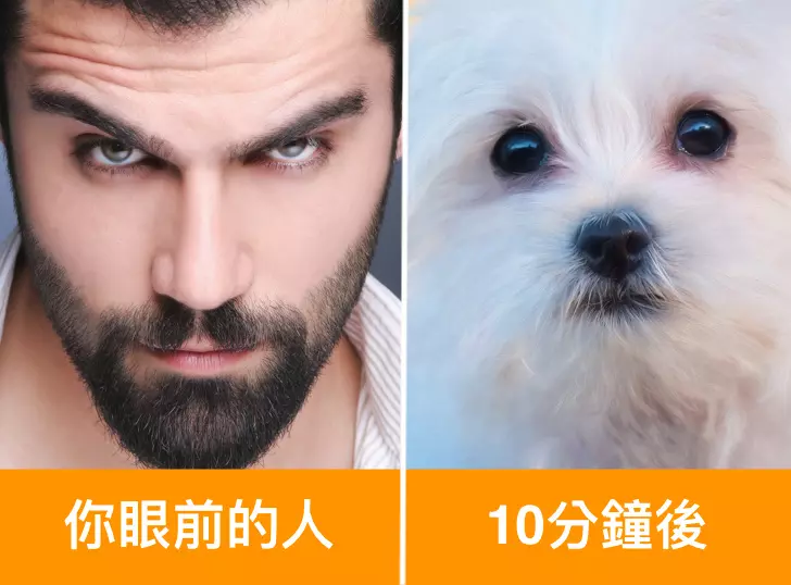 試試看兩人互相盯著看10分鐘…研究發現「大腦會變」 網實測受驚:我到底看了什麼?
