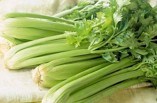 喝芹菜汁對健康有益?看完這篇,你估計得掂量一下!