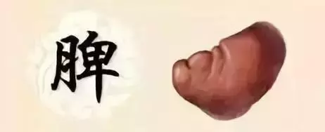 《黃帝內經》肝怕堵、心怕累、脾怕冷究竟該怎麼養五臟?