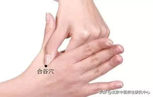 家庭常用保健穴位(行氣活血-合谷穴)