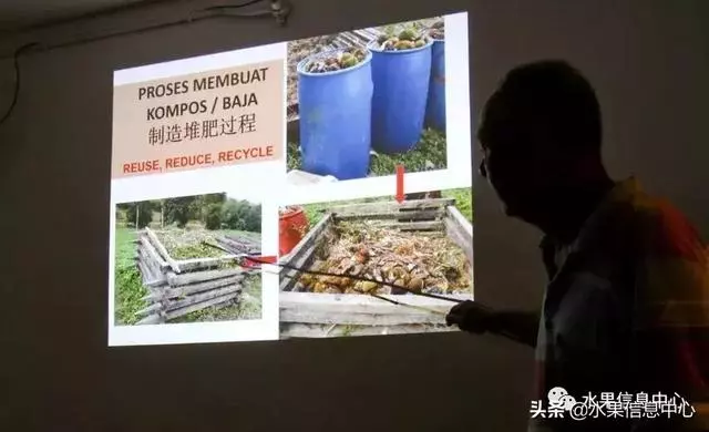 百年難得一見的有機榴槤果園,一次吃個夠!