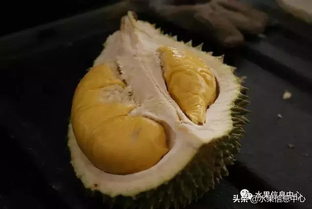 百年難得一見的有機榴槤果園,一次吃個夠!