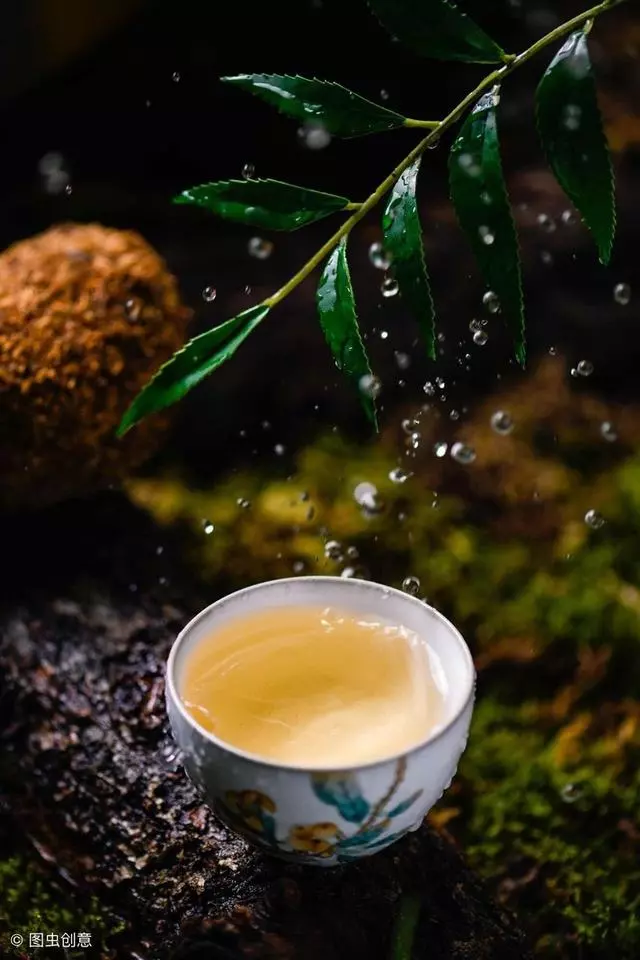 盆景養護十年功,瞭解樹性!澆水——最難精通的「基本功」!