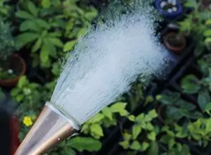 盆景養護十年功,瞭解樹性!澆水——最難精通的「基本功」!