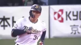 火腿續戰歐力士 王柏融改3棒首轟4支4