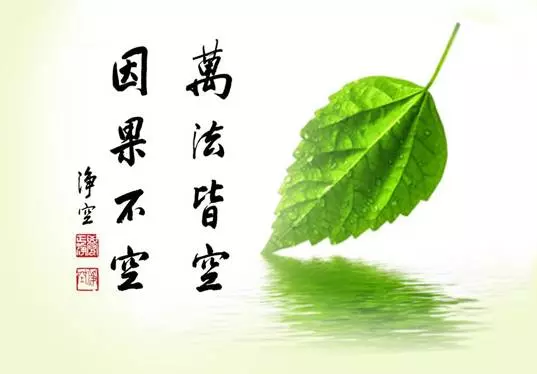 神準!從農曆生日看出你的前世因果輪迴!原來我上輩子是養牛人家...