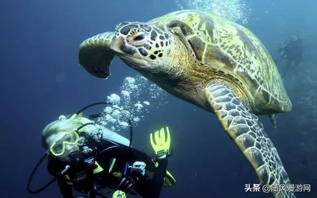 旅行攻略|馬來西亞自由行必須打卡的城市