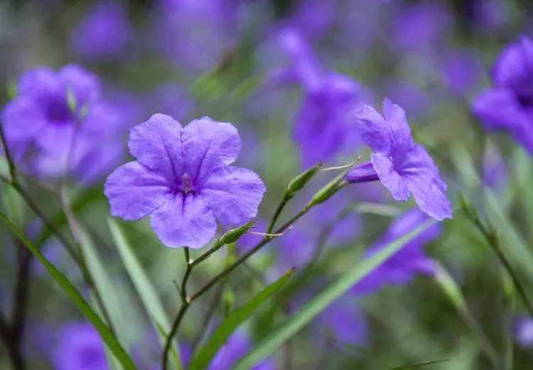 4月18號起逢8必發,吉星庇佑,橫財頻發,富貴翻番漲的6大生肖!