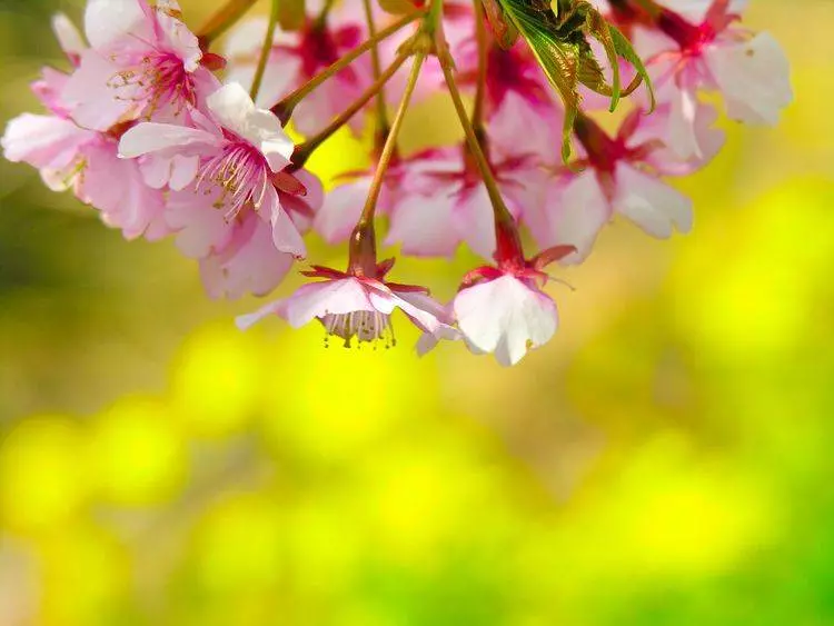 4月18號起逢8必發,吉星庇佑,橫財頻發,富貴翻番漲的6大生肖!