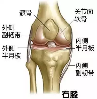 10分鐘膝蓋復健法,簡單幾個小動作,在家就能完成,讓膝關節回春,不再疼痛