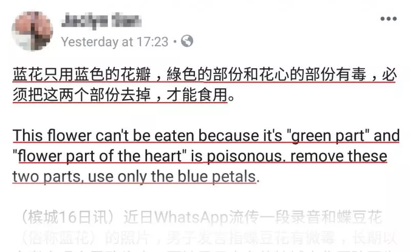 注意!WhatsApp瘋傳喝藍花茶中毒!