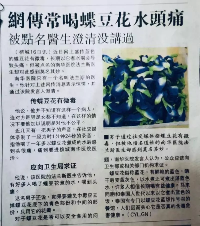注意!WhatsApp瘋傳喝藍花茶中毒!