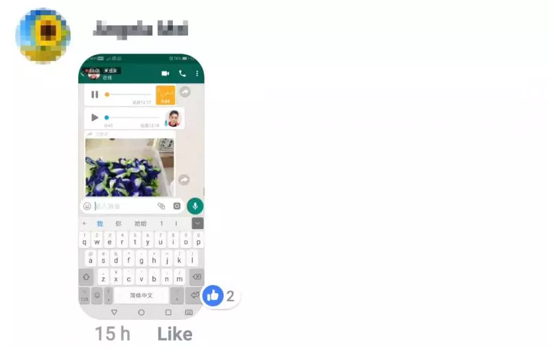注意!WhatsApp瘋傳喝藍花茶中毒!