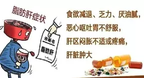 脂肪肝,膳食營養要從這五方面調整