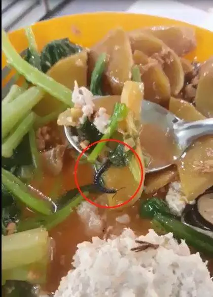 在飯里吃出了蜈蚣,店員居然還想給我$5私了