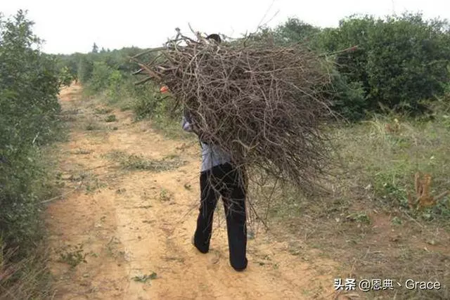 老婦砍柴,抱回一男嬰,十年後生病沒錢治,男童說了三字!