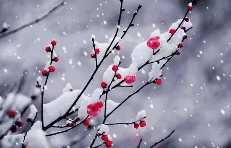 愛一個人有多深,忘記就有多難; 想一個人多苦,心就有多難受