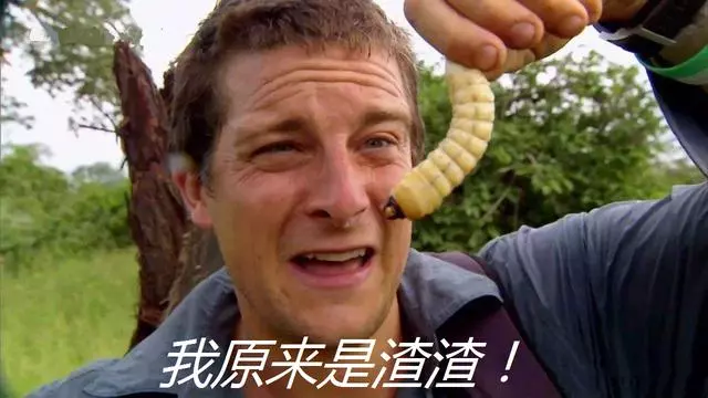 貝爺在他面前都是渣渣!最強日本兵野外生存30年,主食牛肉打遊擊戰