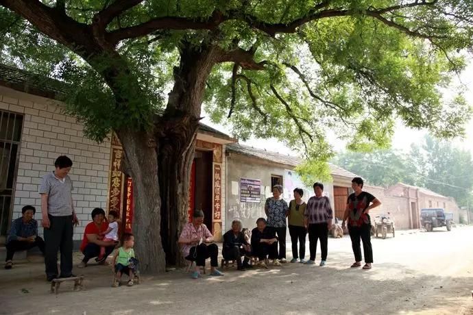 兒子不幸因病去世,父親在門口種下槐樹,十年後卻救了五條人命