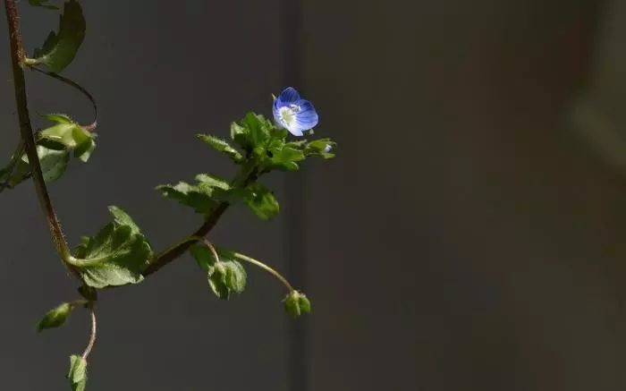 4月下旬好運逆襲,5大生肖財上正軌,金銀滿地,富貴圓滿有餘錢!