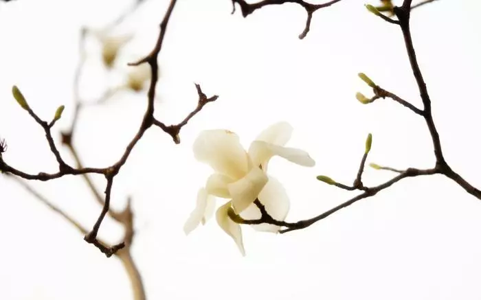 4月下旬好運逆襲,5大生肖財上正軌,金銀滿地,富貴圓滿有餘錢!