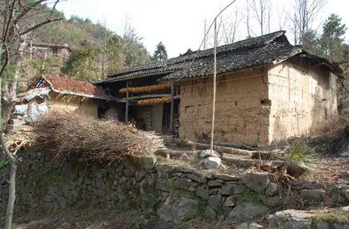 得知我是領養的孩子後我住進了旅館,爸媽帶我回家怒吼著讓弟弟滾
