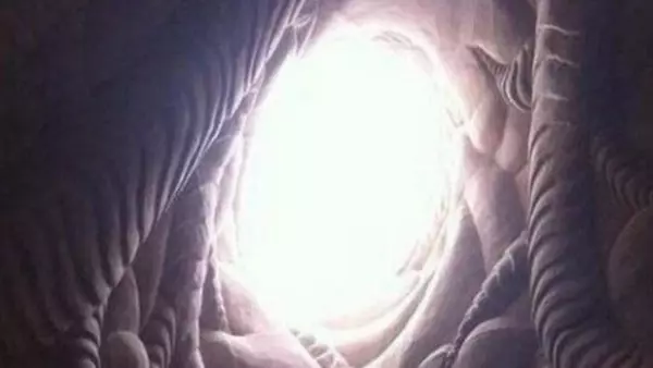 男子隱居沙漠不願走,25年後被人發現,進入洞口後驚歎:這是異世嗎?
